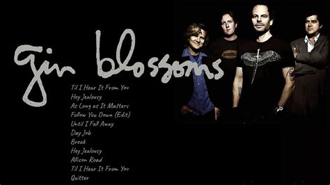 gin blossoms biggest hits|Gin Blossoms OFFICIAL GREATEST HITS ★★★★★ .